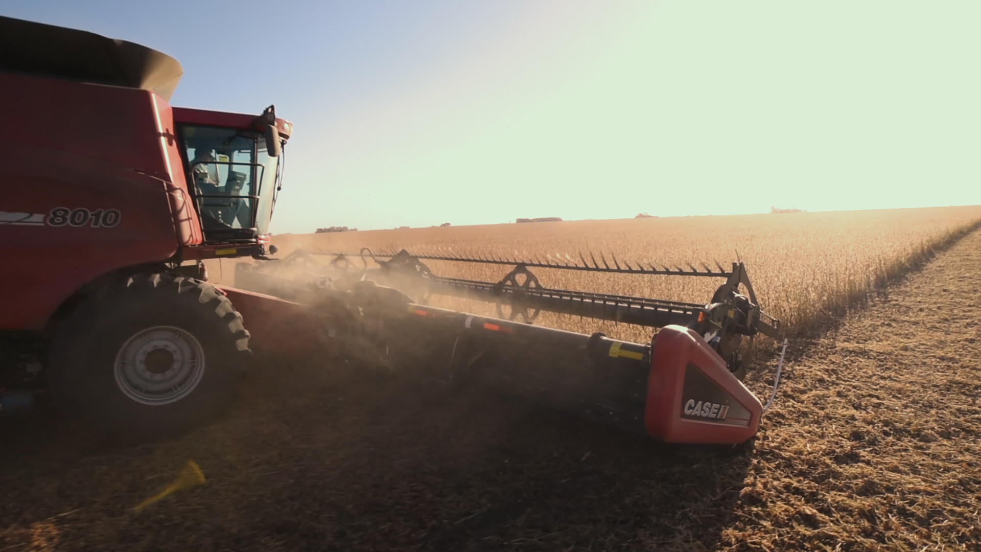 ¿Qué puede hacer el campo y la agroindustria para superar la crisis argentina del Gasoil?